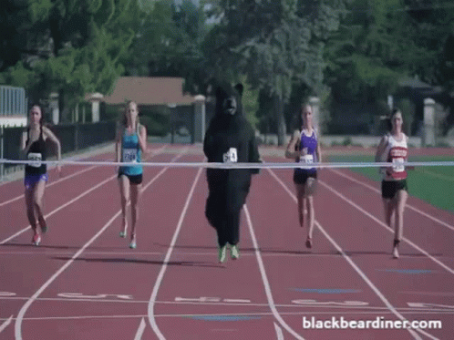 untitled.gif