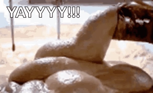 untitled.gif