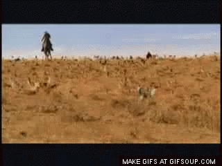 untitled.gif