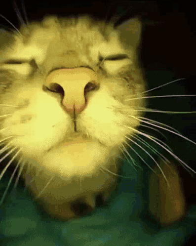 untitled.gif