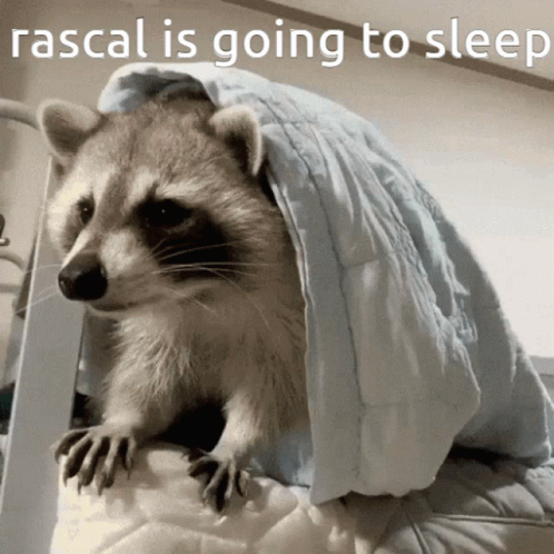 untitled.gif