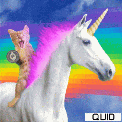 untitled.gif