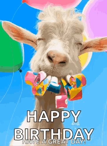 untitled.gif