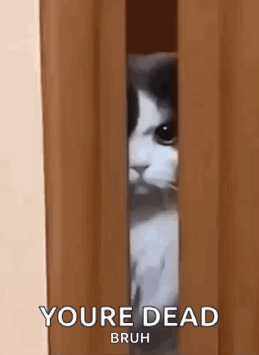 untitled.gif