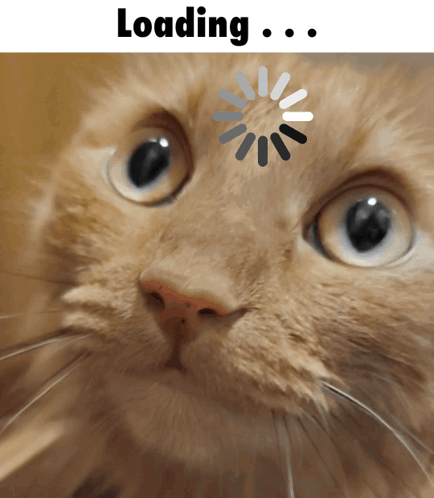 untitled.gif