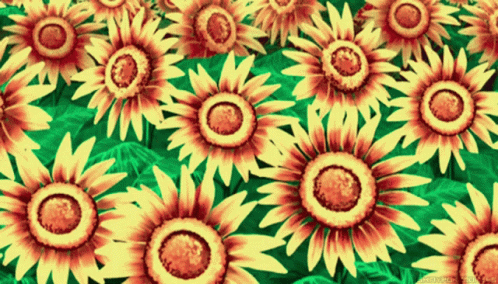 untitled.gif