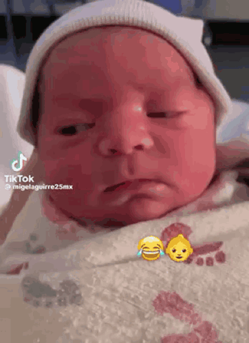 untitled.gif