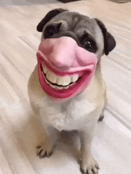 untitled.gif