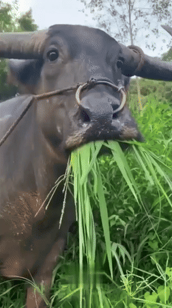 untitled.gif