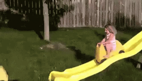 untitled.gif