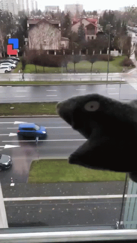 untitled.gif