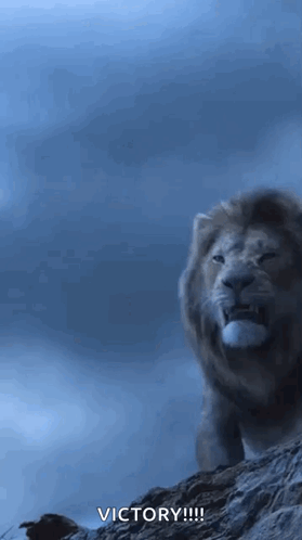 untitled.gif