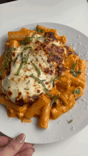 pasta