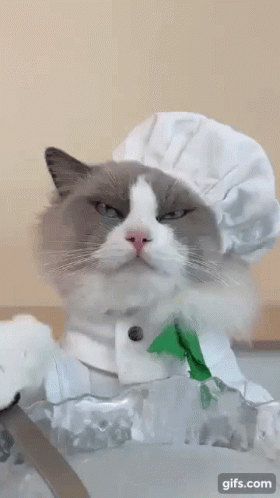 untitled.gif