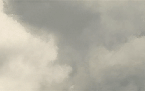 untitled.gif