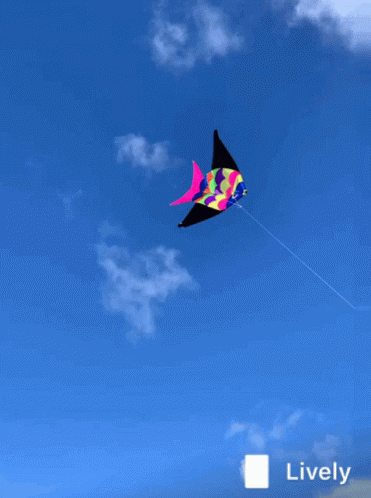 untitled.gif