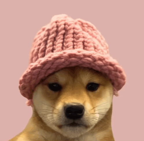 untitled.gif