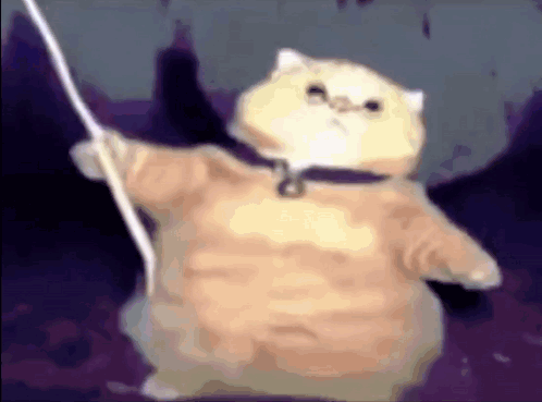 untitled.gif