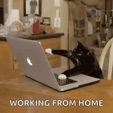 untitled.gif