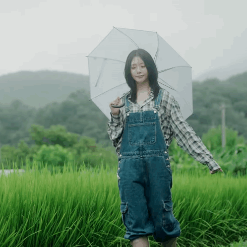 untitled.gif