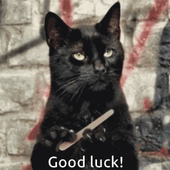 untitled.gif