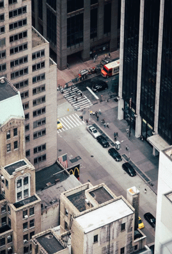 untitled.gif