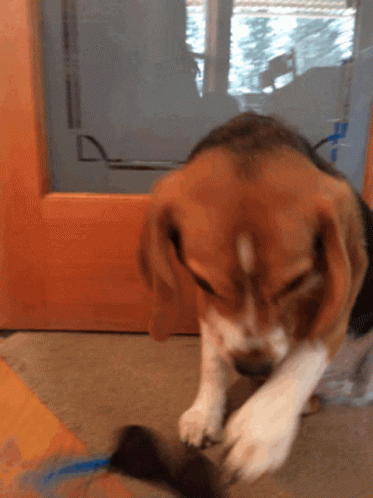 untitled.gif
