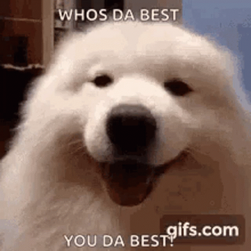 untitled.gif