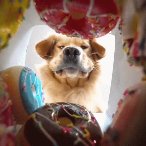 untitled.gif