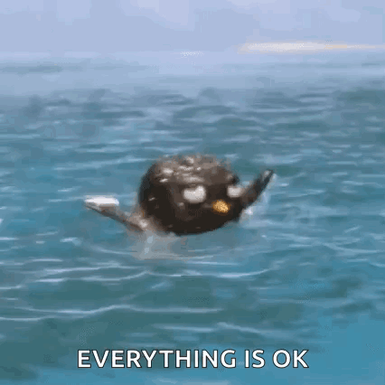 untitled.gif