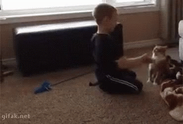 untitled.gif