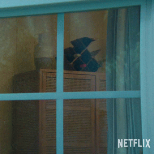 untitled.gif