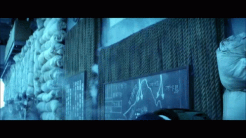 untitled.gif
