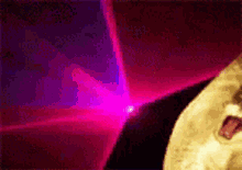 untitled.gif