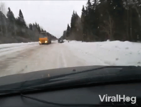 untitled.gif