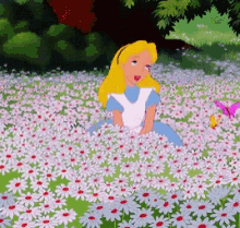 untitled.gif