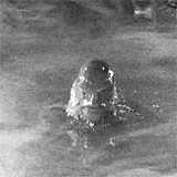 untitled.gif