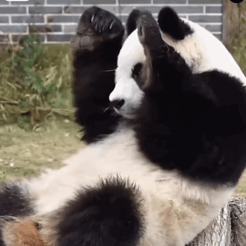 untitled.gif