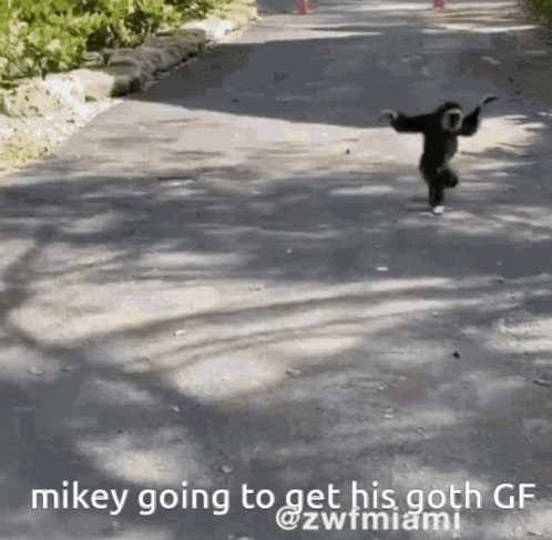 untitled.gif