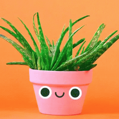 untitled.gif