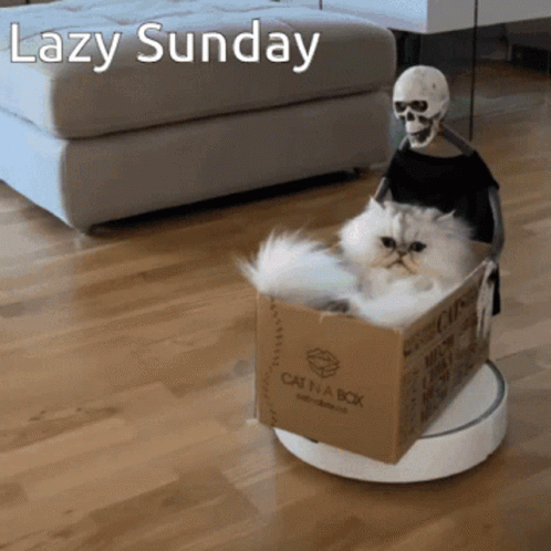 untitled.gif