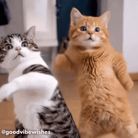 untitled.gif