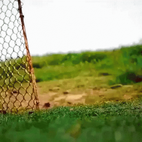 untitled.gif