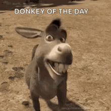 untitled.gif