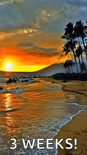 untitled.gif