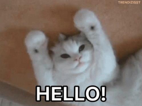 untitled.gif