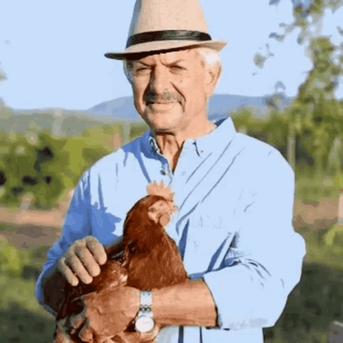 untitled.gif