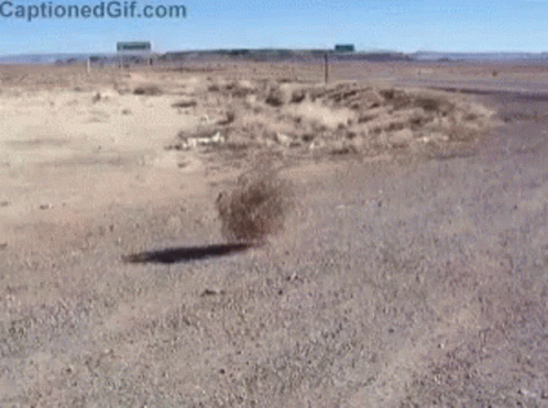 untitled.gif