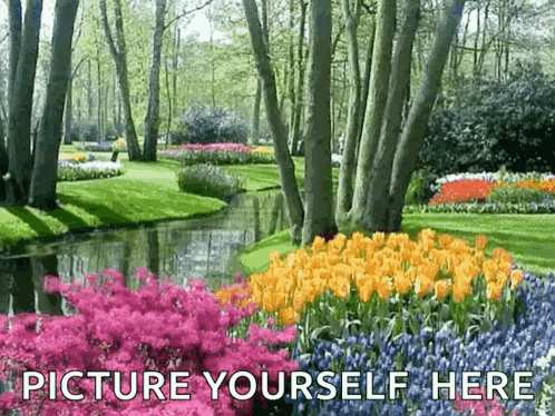 untitled.gif