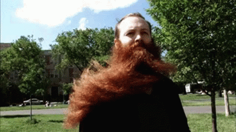 untitled.gif
